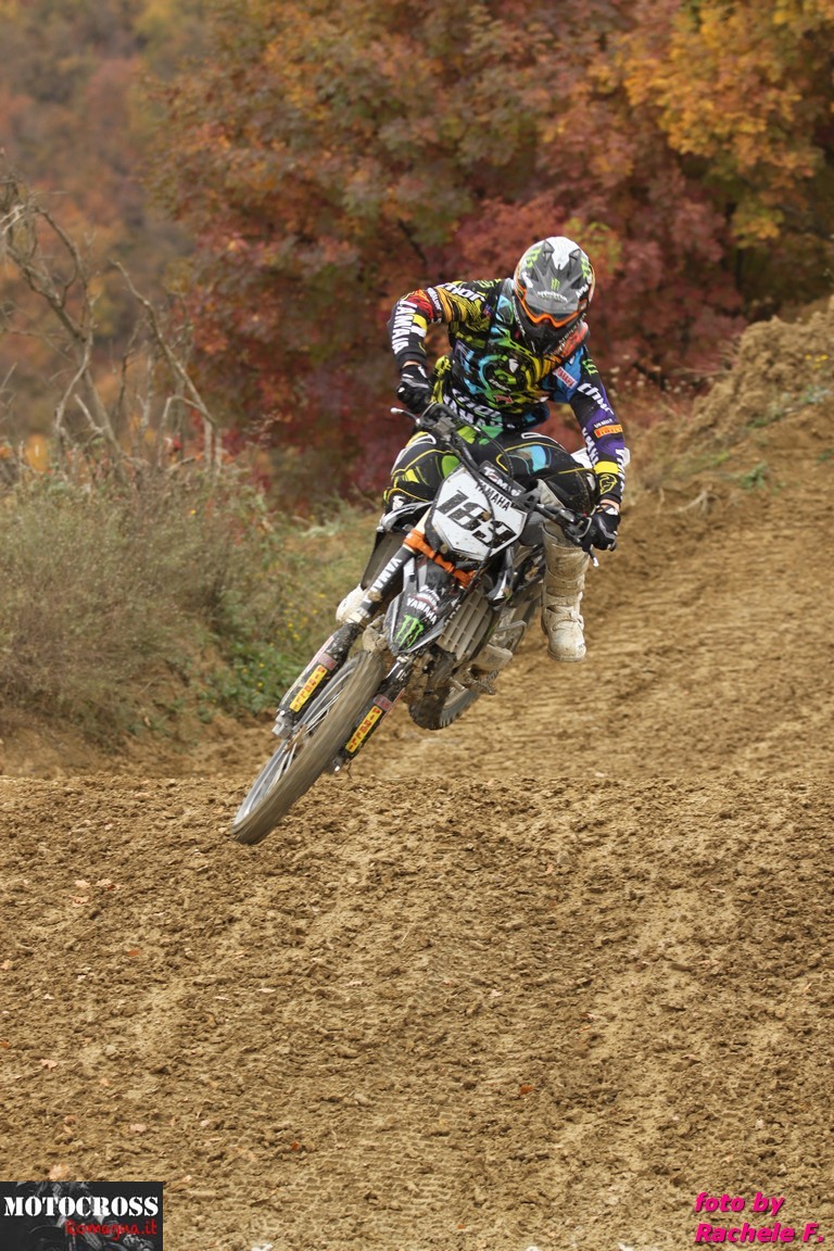 Steven Frossard - Porcentico novembre 2011