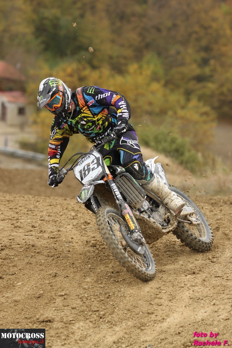 Steven Frossard - Porcentico novembre 2011