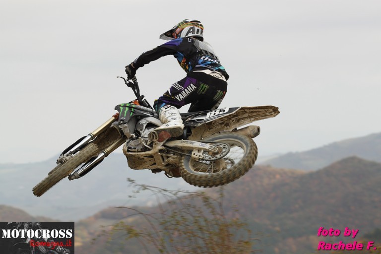 Steven Frossard - Porcentico novembre 2011