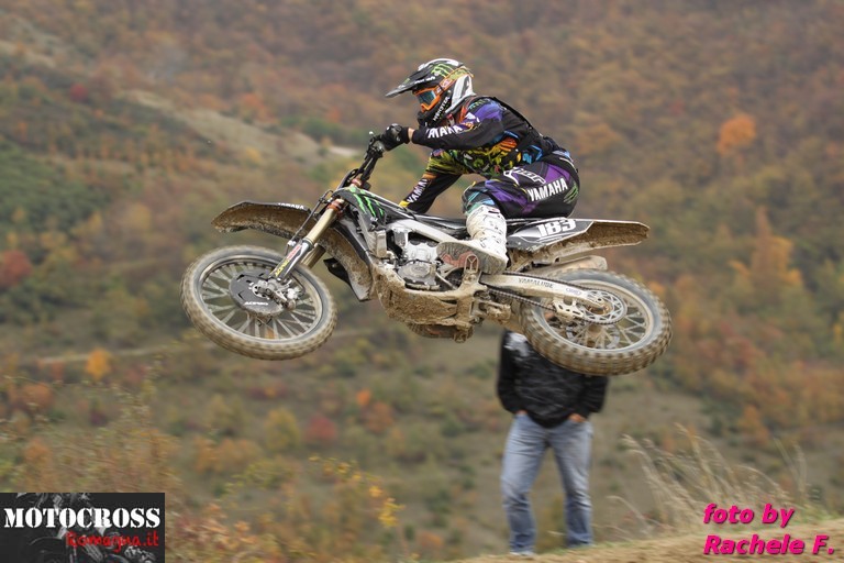 Steven Frossard - Porcentico novembre 2011