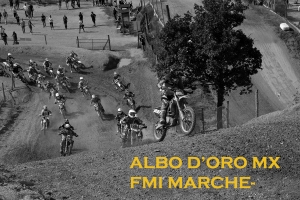 ALBO D&#039;ORO CAMP. REG. FMI MARCHE